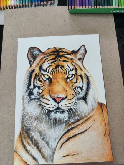 รูปวาดเสือ