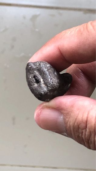 พระหลวงปู่ทวดเนื้อว่าน พิมพ์กลางชะลูด ปี 2497 รูปที่ 5