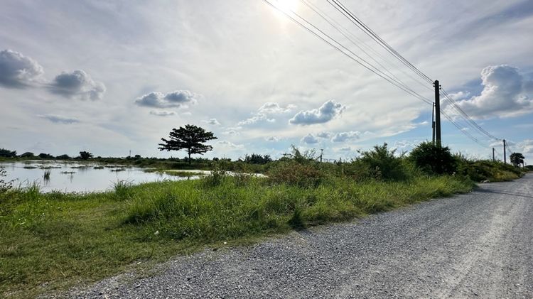 ใช่ ขายที่ดินเปล่า เนื้อที่ 23-1-96 ไร่ ถนนสารีบุตร  ,ลาดกระบัง ใกล้ถนนมอเตอร์เวย์ กรุงเทพ-ชลบุรี รูปที่ 3