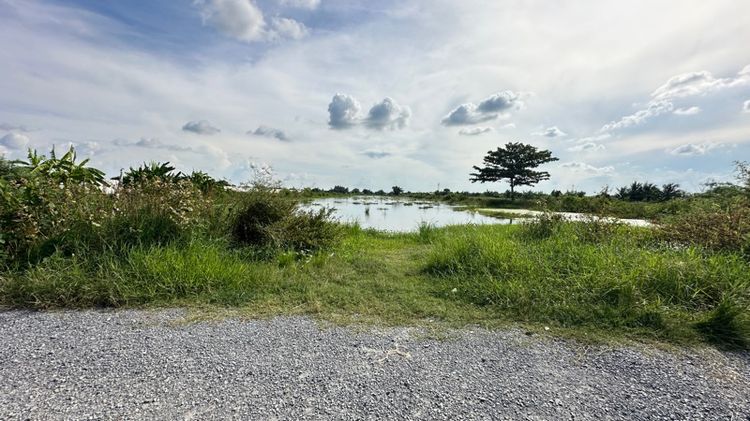 ใช่ ขายที่ดินเปล่า เนื้อที่ 23-1-96 ไร่ ถนนสารีบุตร  ,ลาดกระบัง ใกล้ถนนมอเตอร์เวย์ กรุงเทพ-ชลบุรี รูปที่ 4