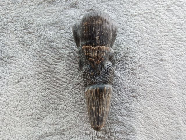 พระพิฆเนศเขาแกะ รูปที่ 4