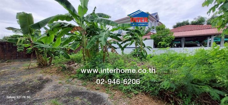 ที่ดินเปล่า 69.9 ตร.ว. หมู่บ้านชัยพฤกษ์1ลาดกระบัง ซอยคุ้มเกล้า7 ถนนคุ้มเกล้า ถนนสุวินทวงศ์ ถนนเจ้าคุณทหาร เขตลาดกระบัง กรุงเทพมหานคร รูปที่ 4