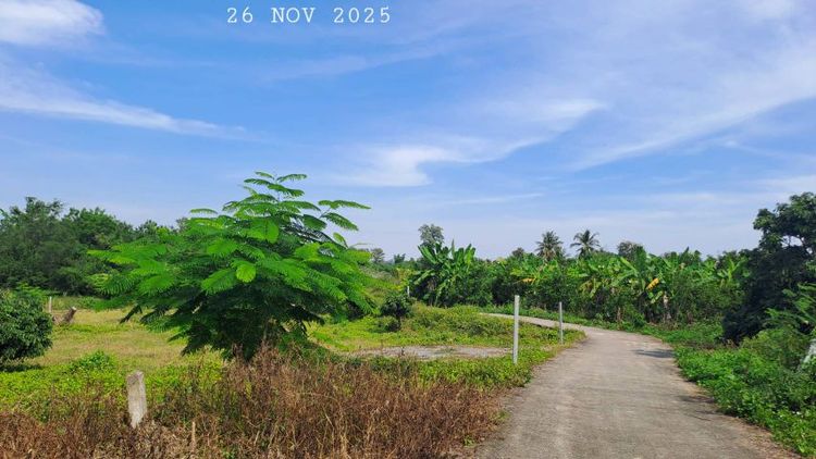 ไม่ใช่ ขายสวนลำไยแปลงเล็กเหมาะทำบ้านสวน ใกล้แมคโครโลตัส ห่างทางหลวงเพียง 70 เมตร