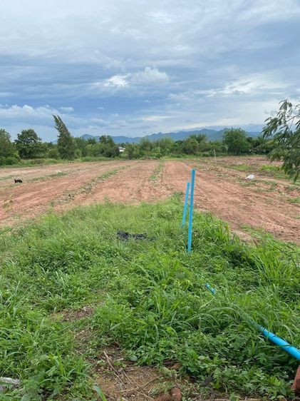 เนื้อที่ 12 ไร่ 1 งาน เมืองราชบุรี 5,400,000 รูปที่ 4