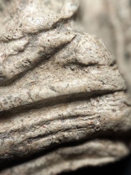 พระรอดลำพูนพิมพ์ใหญ่เนื้อขาวเดิมหิ้งครับ รูปที่ 17