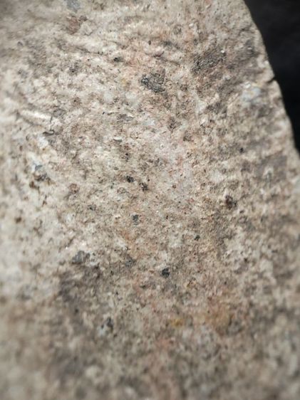 พระรอดลำพูนพิมพ์ใหญ่เนื้อขาวเดิมหิ้งครับ รูปที่ 13