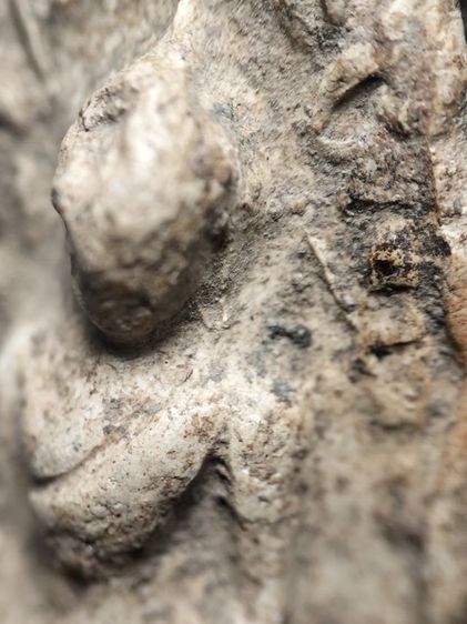 พระรอดลำพูนพิมพ์ใหญ่เนื้อขาวเดิมหิ้งครับ รูปที่ 5