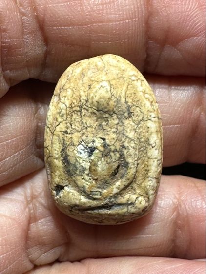 🙏พระสมเด็จพิมพ์ใหญ่ 🙏พระผงพิมึสมาธิ องค์ละ1000 รูปที่ 13