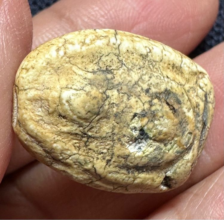 🙏พระสมเด็จพิมพ์ใหญ่ 🙏พระผงพิมึสมาธิ องค์ละ1000 รูปที่ 18