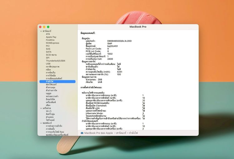 MacBook Pro (13-inch 2019 Two Thunderbolt 3 ports) Ram8gb SSD256gb SpaceGray  รูปที่ 13