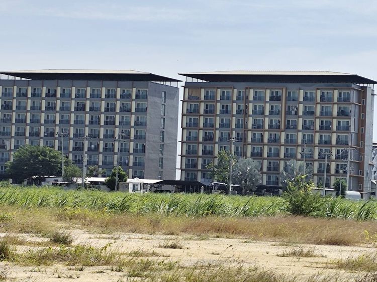 ขายที่ดินเปล่า Vacant land for sale, a natural plot amidst cornfields near Kasetsart University Kamphaeng Saen Campus Nakhon Pathom รูปที่ 2