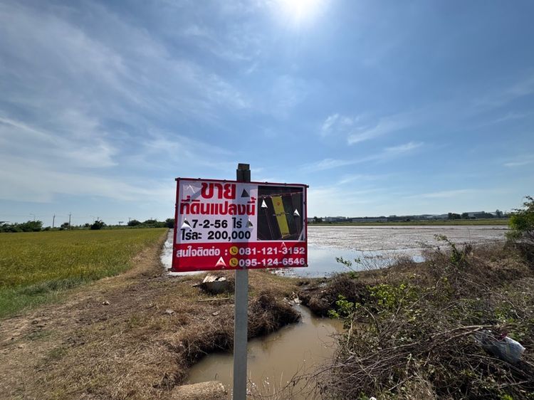 ที่นา ชัยนาท รูปที่ 2