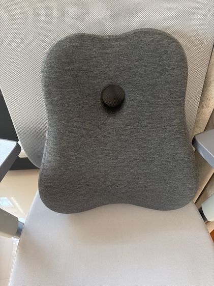 ที่รองหลัง รูปที่ 2