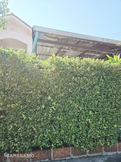 ขายทำเลทอง บุษราคัมกรีนวิลล์ บางกรวย นนทบุรี – บ้านที่คุณต้องไม่พลาด บ้านมีชีวิต บรรยากาศร่มรื่นเงียบสงบเหมาะอยู่อาศัย ทำค้าขายออนไลน์