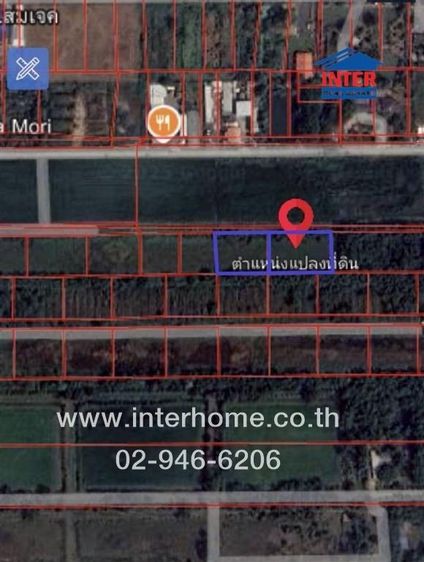 ที่ดินเปล่า 800 ตร.ว. ที่ดิน ซอยคลองสี่ตะวันตก21 ถนนคลองหลวง ถนนเลียบคลองสี่ตะวันตก คลองหลวง ปทุมธานี