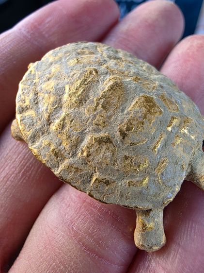 เต่าสีทอง เนื้อโลหะ สวยของเก่าเก็บ รุ่นเก่า หายากเดิมๆ ขายตามสภาพของที่บ้าน พร้อมส่งครับ รูปที่ 4