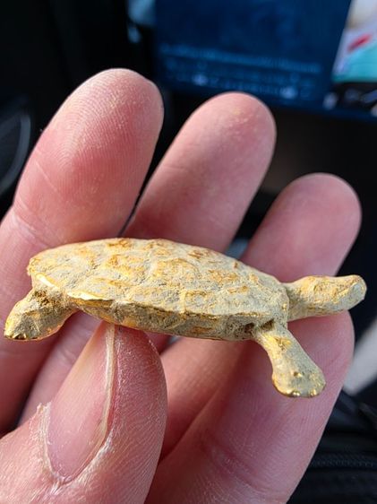 เต่าสีทอง เนื้อโลหะ สวยของเก่าเก็บ รุ่นเก่า หายากเดิมๆ ขายตามสภาพของที่บ้าน พร้อมส่งครับ รูปที่ 5
