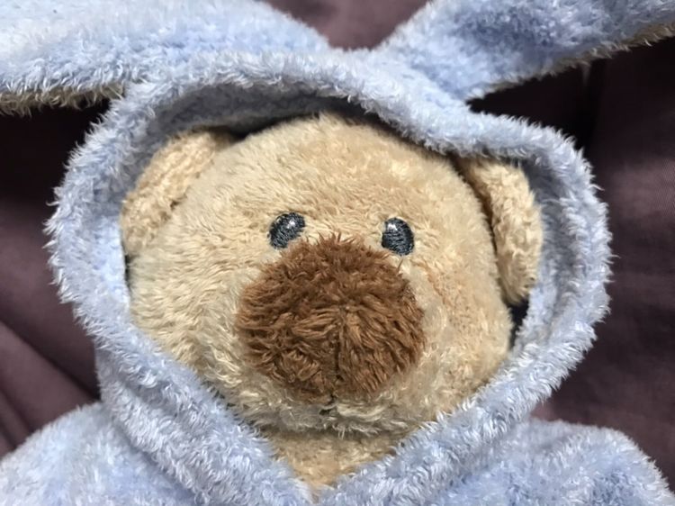 ตุ๊กตาหมี “TY” ใส่ชุดฮู๊ดกระต่าย มาเป็นคู่ น่ารักมาก rare item เลยทีเดียว รูปที่ 5