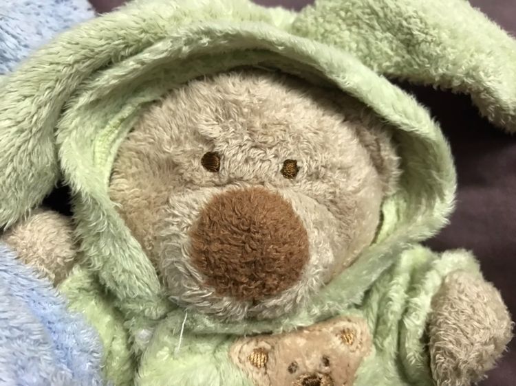 ตุ๊กตาหมี “TY” ใส่ชุดฮู๊ดกระต่าย มาเป็นคู่ น่ารักมาก rare item เลยทีเดียว รูปที่ 6