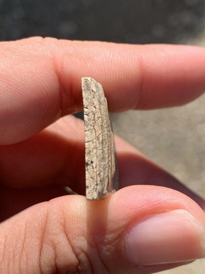 พระสมเด็จพิมพ์ใหญ่ รูปที่ 6