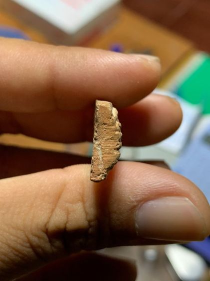 พระลีลาข้างเม็ด รูปที่ 5