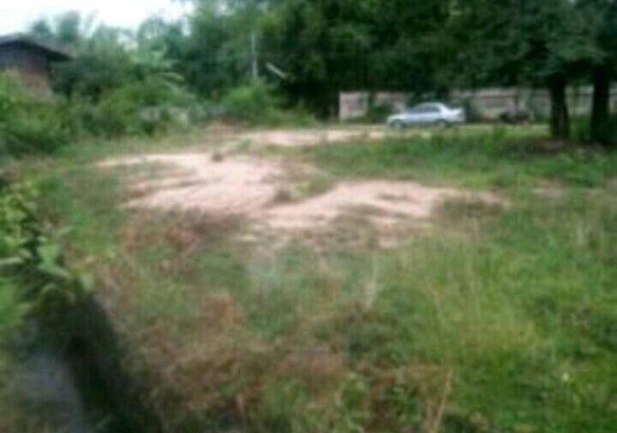 ใช่ ขายที่ดินเกาะคา ในหมู่บ้านกิ่วไหล่หิน เจ้าของขายเอง น้ำไฟผ่าน ถนนคอนกรีต พร้อมโอนโฉนดเจ้าของขายเอง รูปที่ 3