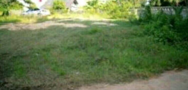 ใช่ ขายที่ดินเกาะคา ในหมู่บ้านกิ่วไหล่หิน เจ้าของขายเอง น้ำไฟผ่าน ถนนคอนกรีต พร้อมโอนโฉนดเจ้าของขายเอง รูปที่ 4