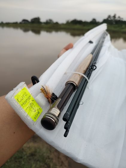 ชุดตกปลาฟลาย (Original from USA.) รูปที่ 12