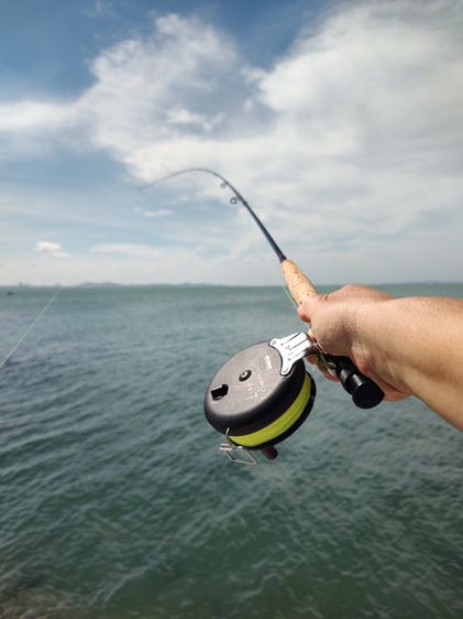 ชุดตกปลาฟลาย Side Casting (Original from USA.)   รูปที่ 5