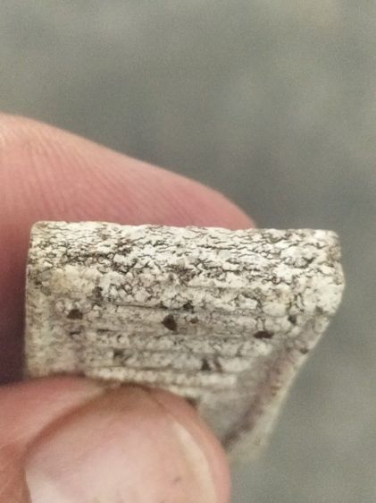 สมเด็จเก่าหนึบนุ่มสวยๆ รูปที่ 6