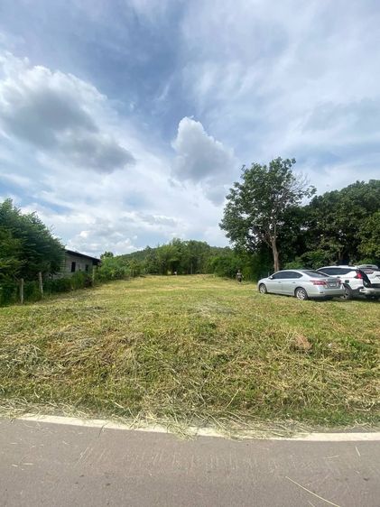 📣 โอกาสทอง ที่ดินเกือบ 2งาน 270,000บาท ทำเลดี อ.เมืองลำพูน ราคาสุดคุ้ม รูปที่ 4