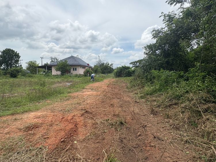 📢 ขายด่วน 100 ตรว. 270,000 บาท ต.อ่าวน้อย ที่ดินทำเลทอง ใกล้ทะเล-ติดเมือง ในราคาที่คุณต้องรีบคว้า รูปที่ 2