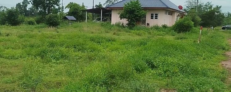 📢 ขายด่วน 100 ตรว. 270,000 บาท ต.อ่าวน้อย ที่ดินทำเลทอง ใกล้ทะเล-ติดเมือง ในราคาที่คุณต้องรีบคว้า รูปที่ 4