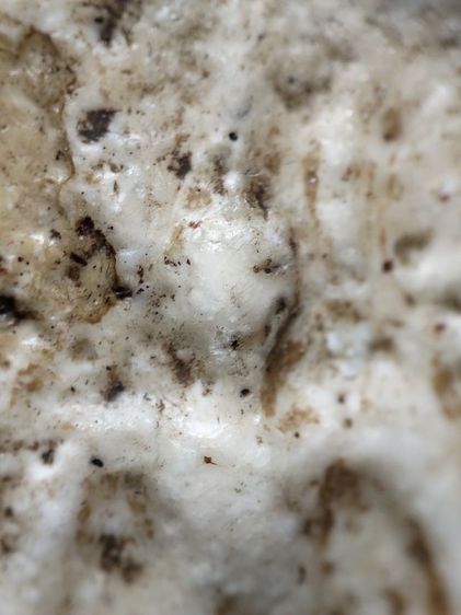 พระสมเด็จครับ รูปที่ 7