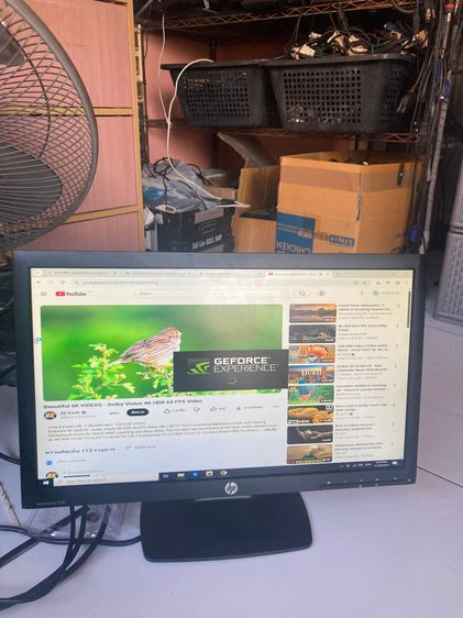 จอภาพ จอคอม LED HP ProDisplay P221 ขนาด 21.5 นิ้ว 