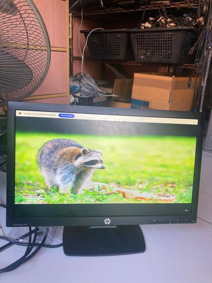 จอคอม LED HP ProDisplay P221 ขนาด 21.5 นิ้ว  รูปที่ 4