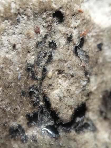 ❌ปิดครับ❌พนะสมเด็จตามสภาพเลยครับ รูปที่ 8