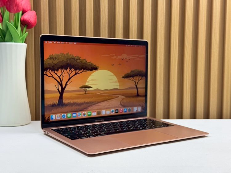 MacBook Air 13-inch 2018 Ram8GB SSD256GB Gold รูปที่ 3
