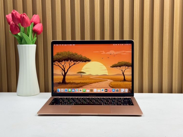 MacBook Air 13-inch 2018 Ram8GB SSD256GB Gold