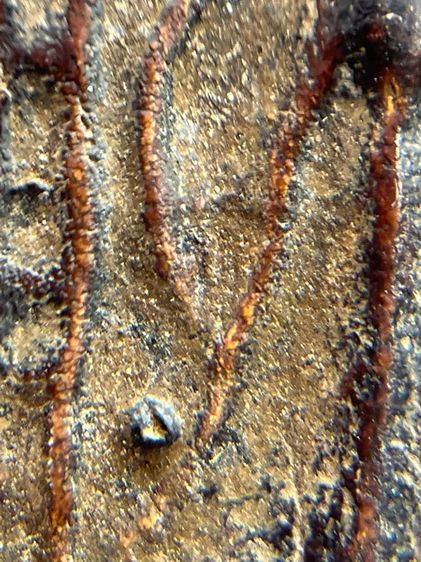 พระ ลป.บุญ วัดกลางบางแก้ว เนื้อผงยา จารหลัง(128) รูปที่ 8