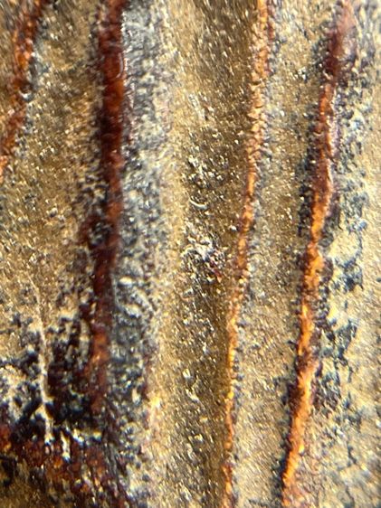 พระ ลป.บุญ วัดกลางบางแก้ว เนื้อผงยา จารหลัง(128) รูปที่ 5