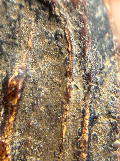 พระ ลป.บุญ วัดกลางบางแก้ว เนื้อผงยา จารหลัง(128) รูปที่ 11