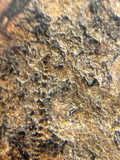 พระ ลป.บุญ วัดกลางบางแก้ว เนื้อผงยา จารหลัง(128) รูปที่ 17