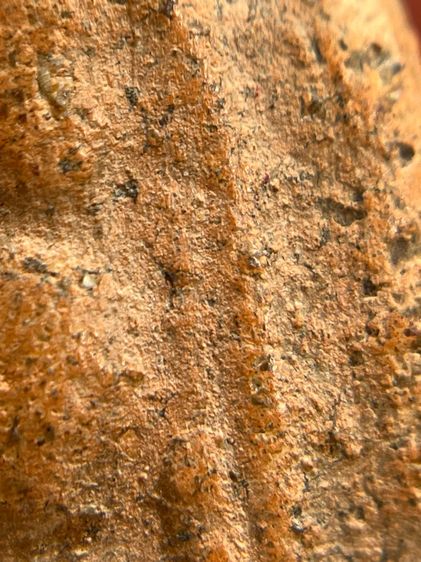 พระนางพญากลีบบัว เนื้อดิน กรุลานดอกไม้ สุโขทัย(126) รูปที่ 7