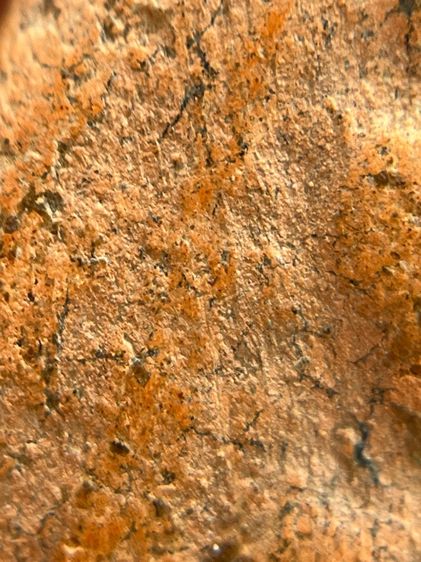 พระนางพญากลีบบัว เนื้อดิน กรุลานดอกไม้ สุโขทัย(126) รูปที่ 8