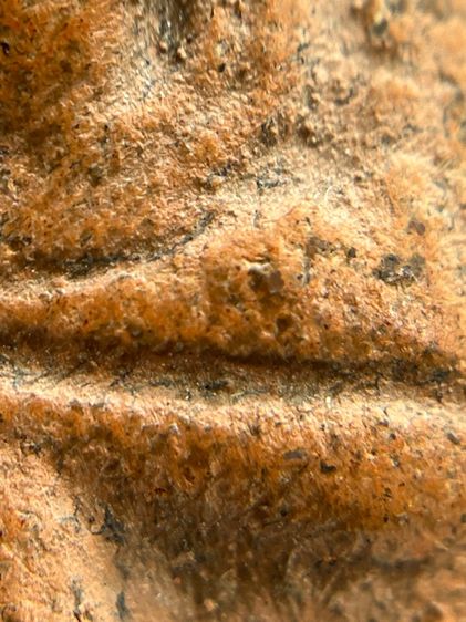 พระนางพญากลีบบัว เนื้อดิน กรุลานดอกไม้ สุโขทัย(126) รูปที่ 15