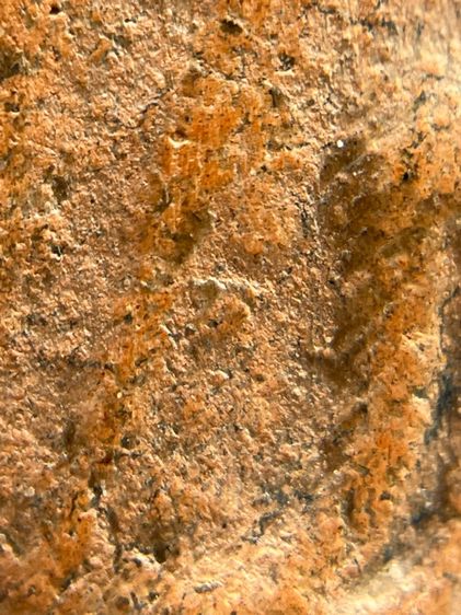 พระนางพญากลีบบัว เนื้อดิน กรุลานดอกไม้ สุโขทัย(126) รูปที่ 6