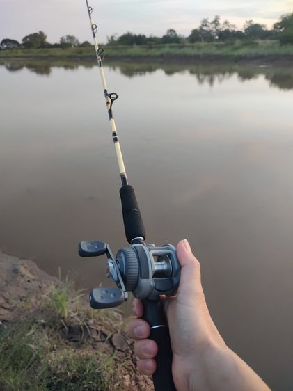 รอกเบทซ้าย ABU ambassadeur EON Made in Sweden รูปที่ 17