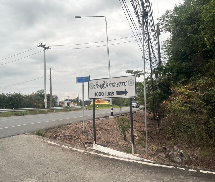 ขายที่ดิน 1 ไร่ คลอง 10 หนองเสือ ปทุมธานี 098 7755 808 รูปที่ 3