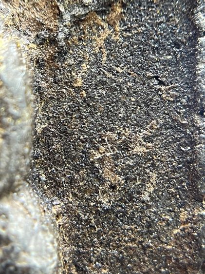 พระหลวงปู่ทวดเนื้อว่าน 108 หลังเจดีย์ พุทธคุณ แคล้วคลาด คุ้มครอง ป้องกันภัย เดินทางปลอดภัย เมตตามหานิยม เสริมโชคลาภ(118) รูปที่ 7